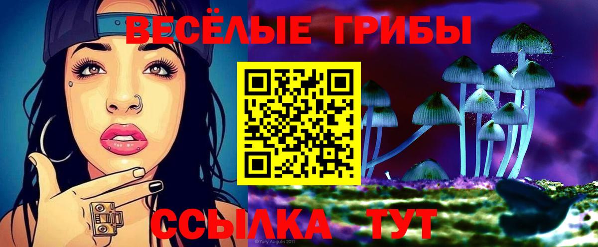 Среднеуральск  Галлюциногенные грибы Cubensis  Псилоцибиновые грибы прущие грибы  Вход с VPN 